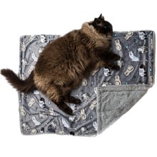 Kitten Around Cat Blanket